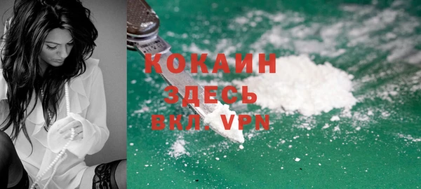 ПСИЛОЦИБИНОВЫЕ ГРИБЫ Баксан
