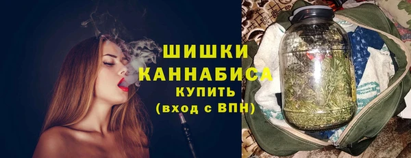 ПСИЛОЦИБИНОВЫЕ ГРИБЫ Баксан
