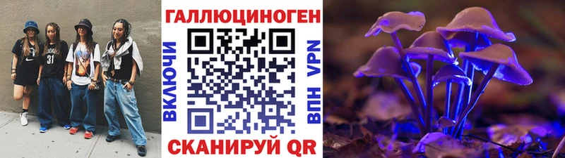 Галлюциногенные грибы Psilocybine cubensis  Щёкино 